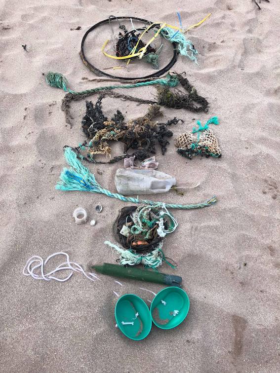 38942476_265459677604485_1370720103640858624_n