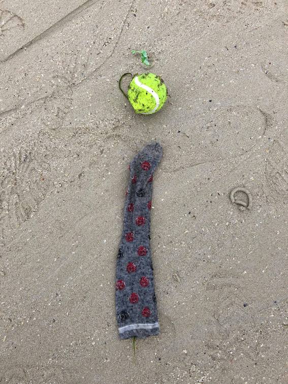 39091673_497248334079979_3945097353102360576_n